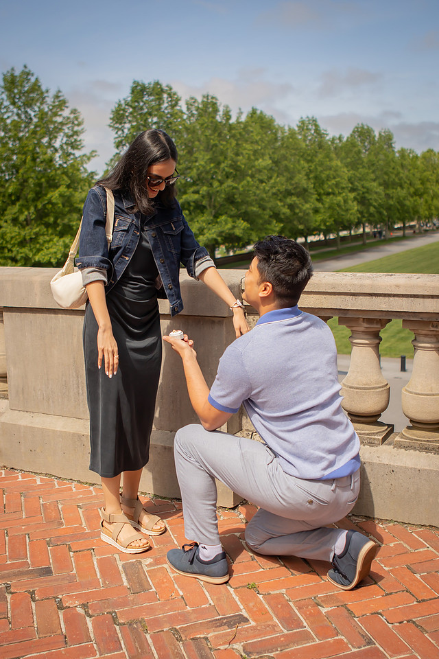 Surprise Proposal at Biltmore Estate