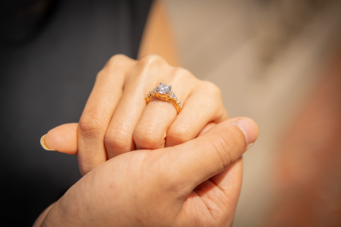 Getting Engaged at the Biltmore Estate | Asheville Proposal Photographer