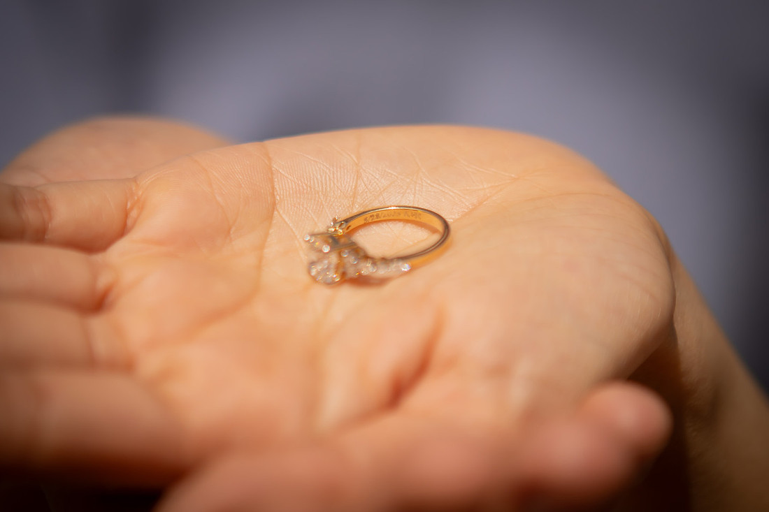 Getting Engaged at the Biltmore Estate | Asheville Proposal Photographer