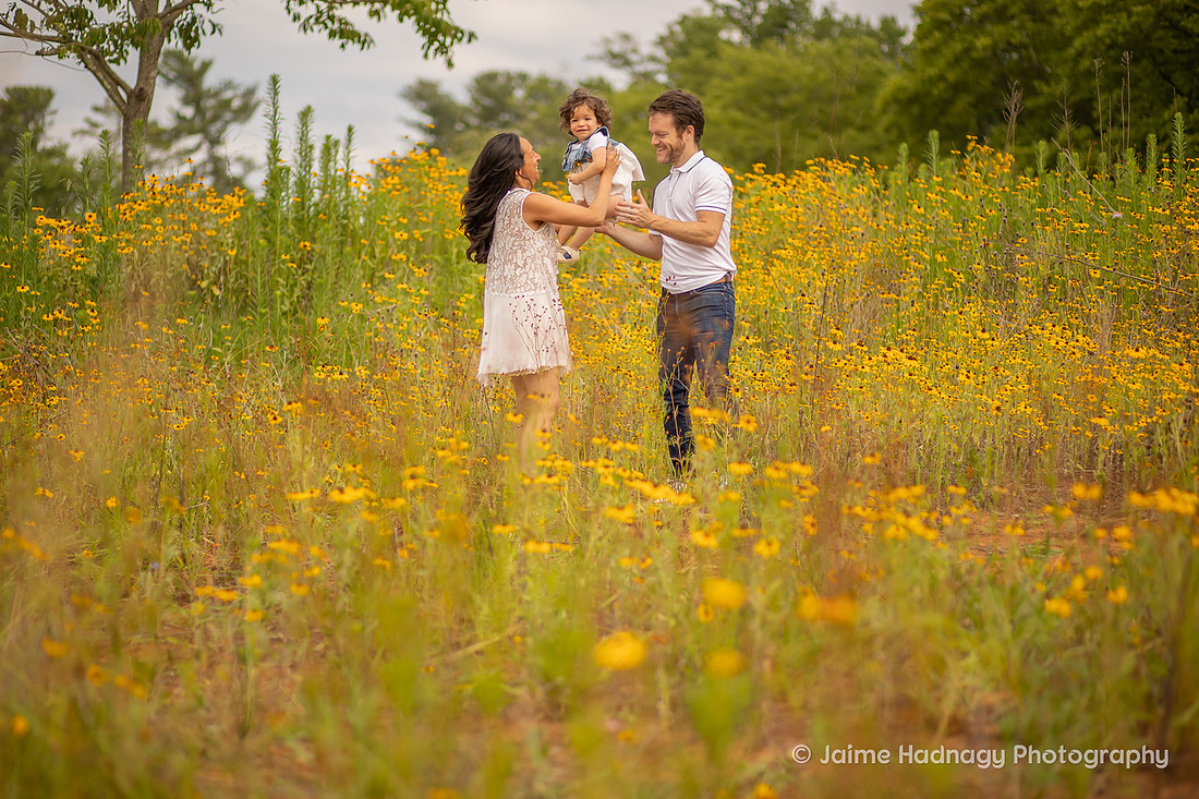 Extended Family Photos | Asheville Photographer