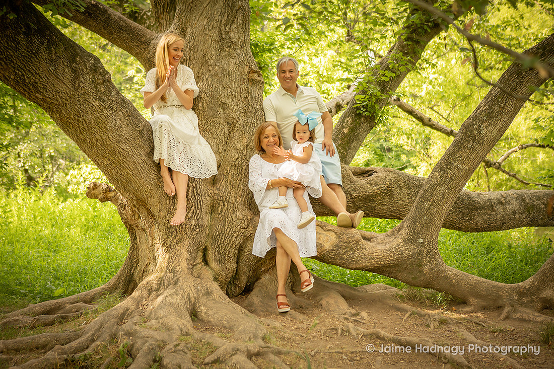 Family Photos in a Big Tree | Asheville Photographer