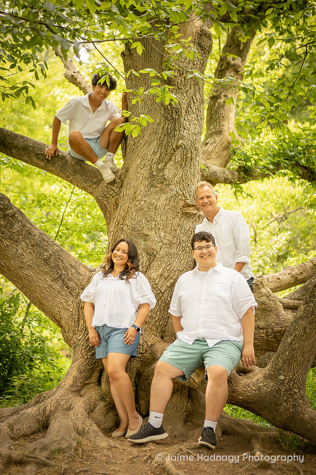 Family Photos in a Big Tree | Asheville Photographer