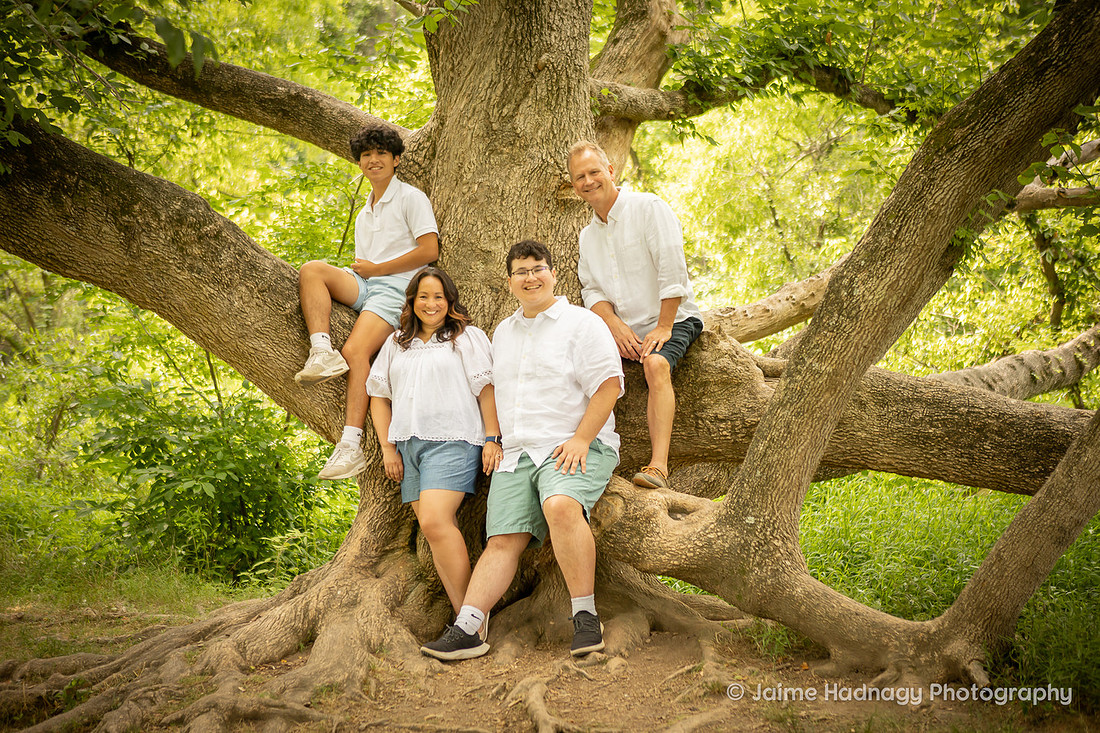 Family Photos in a Big Tree | Asheville Photographer