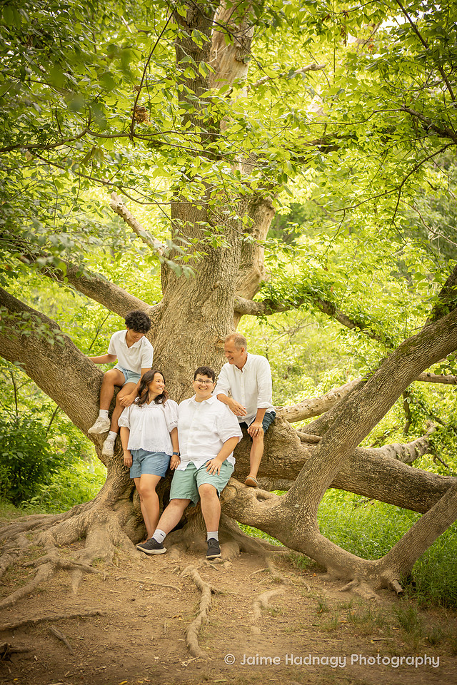 Family Photos in a Big Tree | Asheville Photographer
