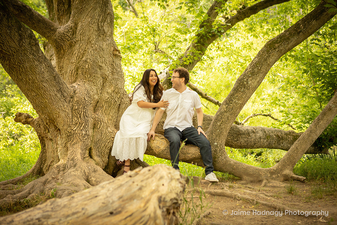 Fun Photos in a Big Tree | Asheville Family Photographer