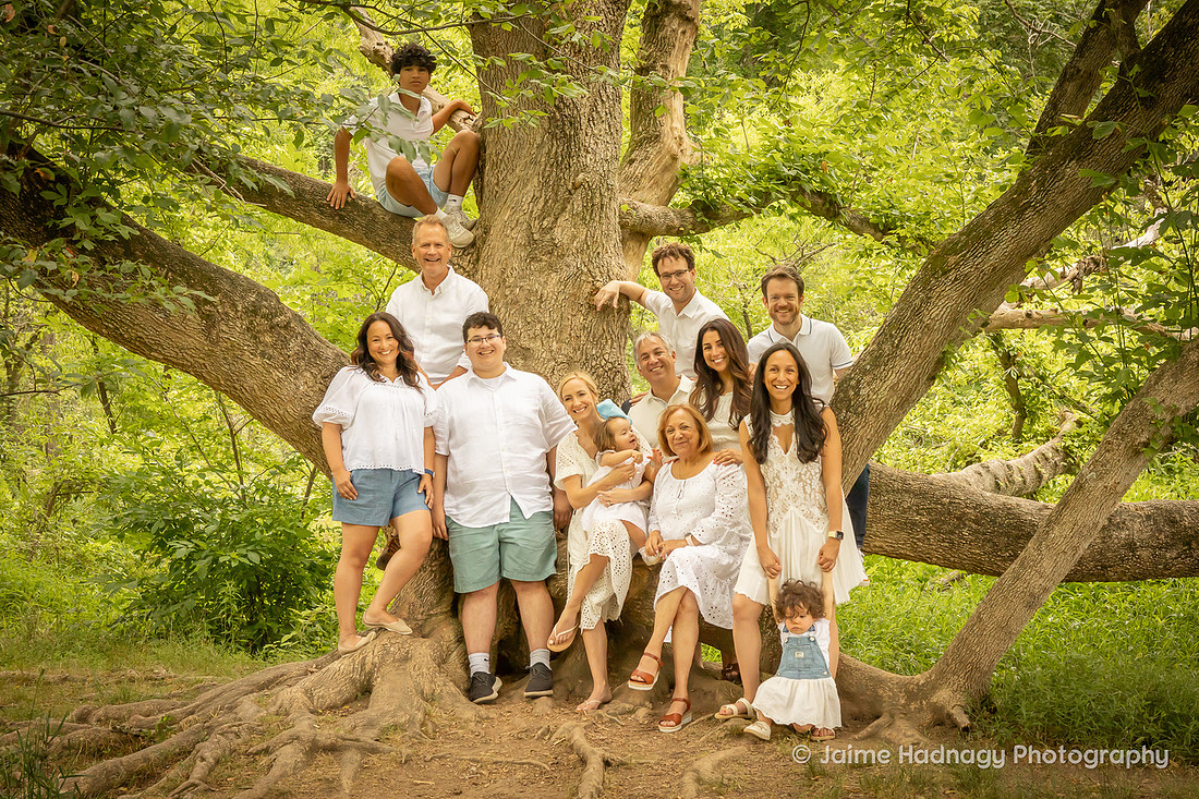 Fun Photos in a Big Tree | Asheville Family Photographer