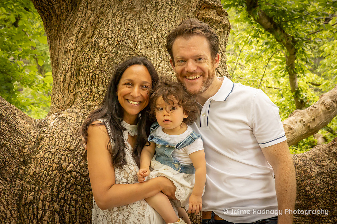 Fun Photos in a Big Tree | Asheville Family Photographer