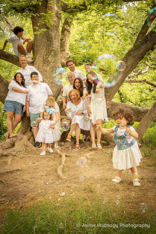 Fun Photos in a Big Tree | Asheville Family Photographer
