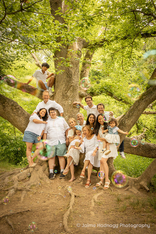 Fun Photos in a Big Tree | Asheville Family Photographer