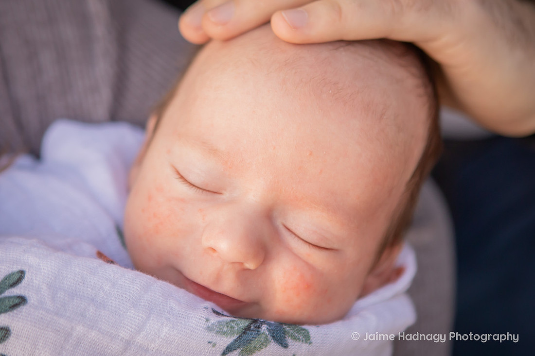 Asheville Newborn Photographer