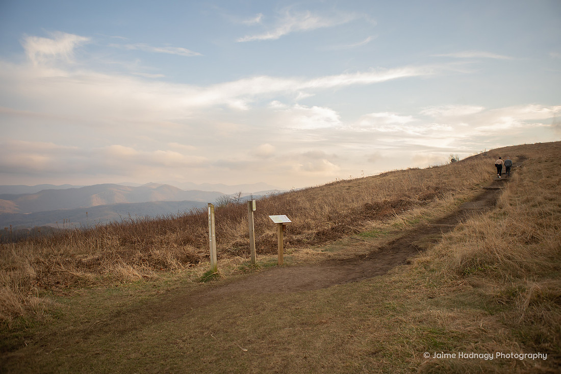 Hiking Proposal in the Mountains | Asheville Engagement Photographer