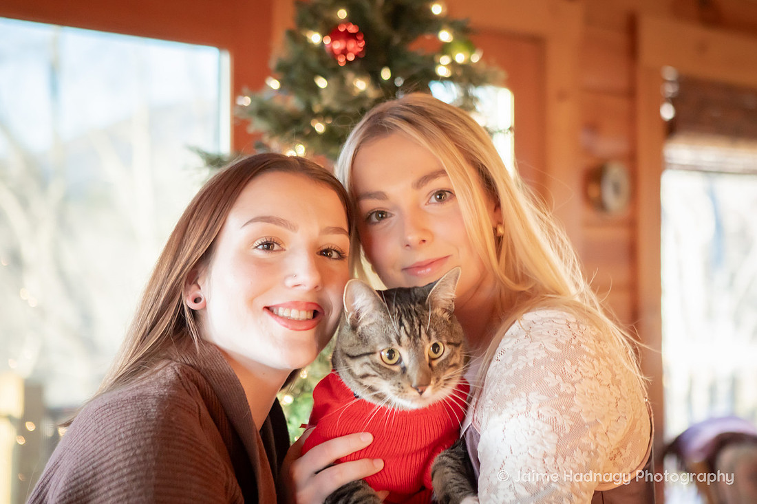 Christmas Family Photos with Cat 