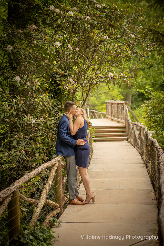 Romantic Engagement Photos at Bass Pond of Biltmore Estate