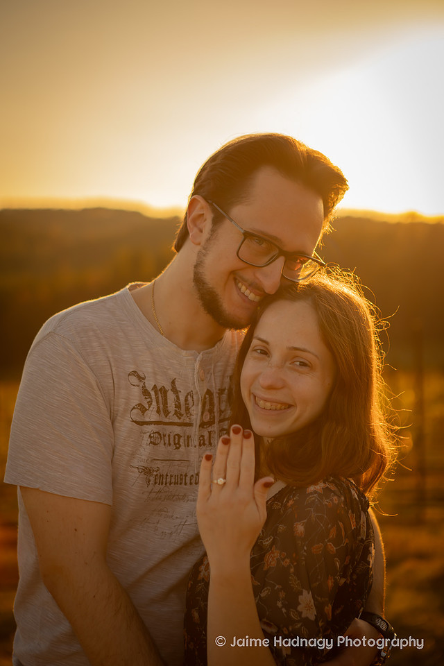 Engagement Photos at Mountain Brook Vineyards in Tryon | Asheville Proposal Photographer