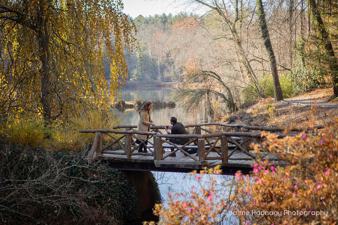 Surprise Proposal at the Biltmore Estate Bass Pond | Asheville Engagement Photographer