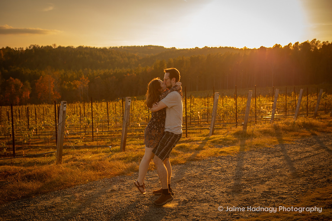 Engagement Photos at Mountain Brook Vineyards in Tryon | Asheville Proposal Photographer