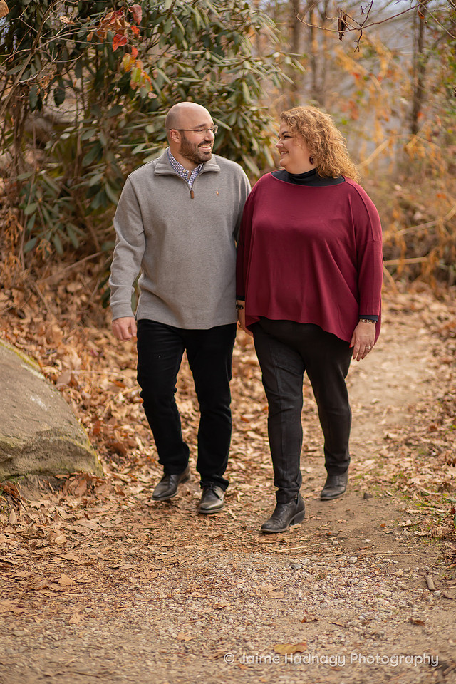 Romantic Engagement Photos | Hendersonville Photographer