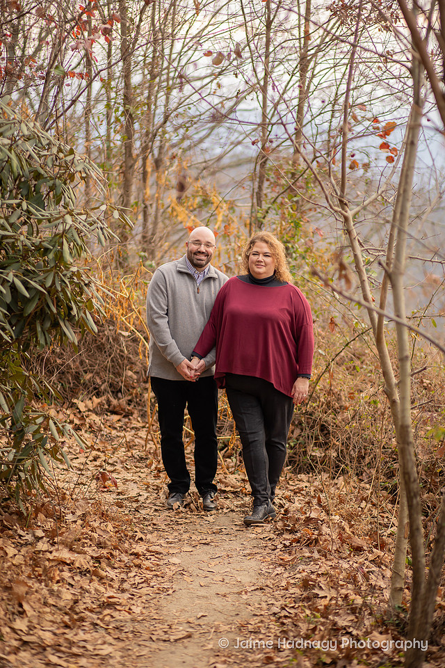 Romantic Engagement Photos | Hendersonville Photographer