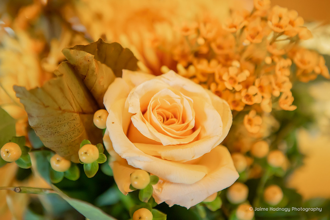 Mountain Wedding at Engadine Inn & Cabins Candler NC | Asheville Photographer