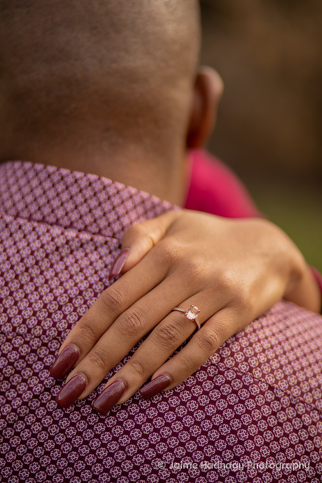 Couples Photos at The Biltmore | Asheville Engagement Photographer