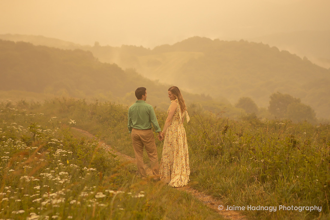 Nature Engagement Photos | Asheville Photographer