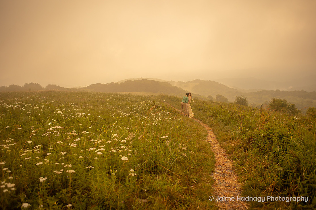 Nature Engagement Photos | Asheville Photographer