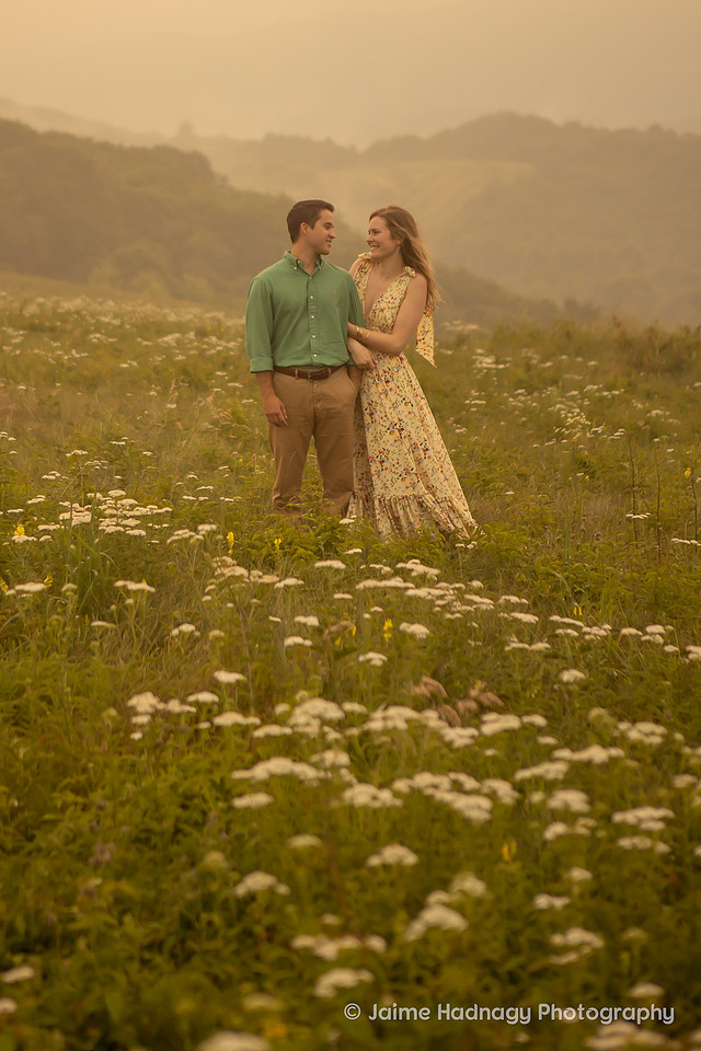 Nature Engagement Photos | Asheville Photographer