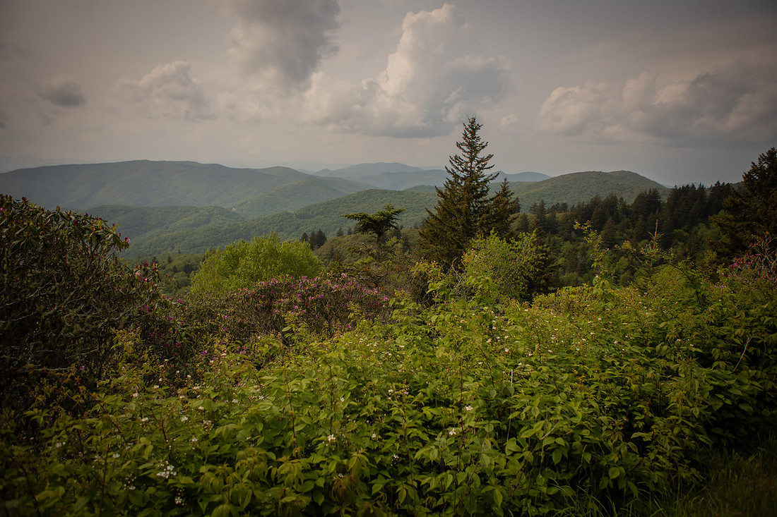 Cranberry Ridge Overlook on Blue Ridge Parkway in Maggie Valley