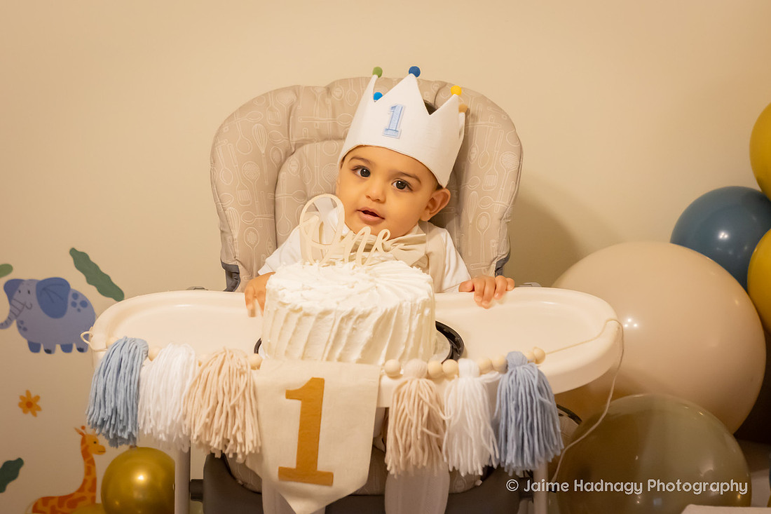 One Year Old Baby Photoshoot | WNC Baby Photographer