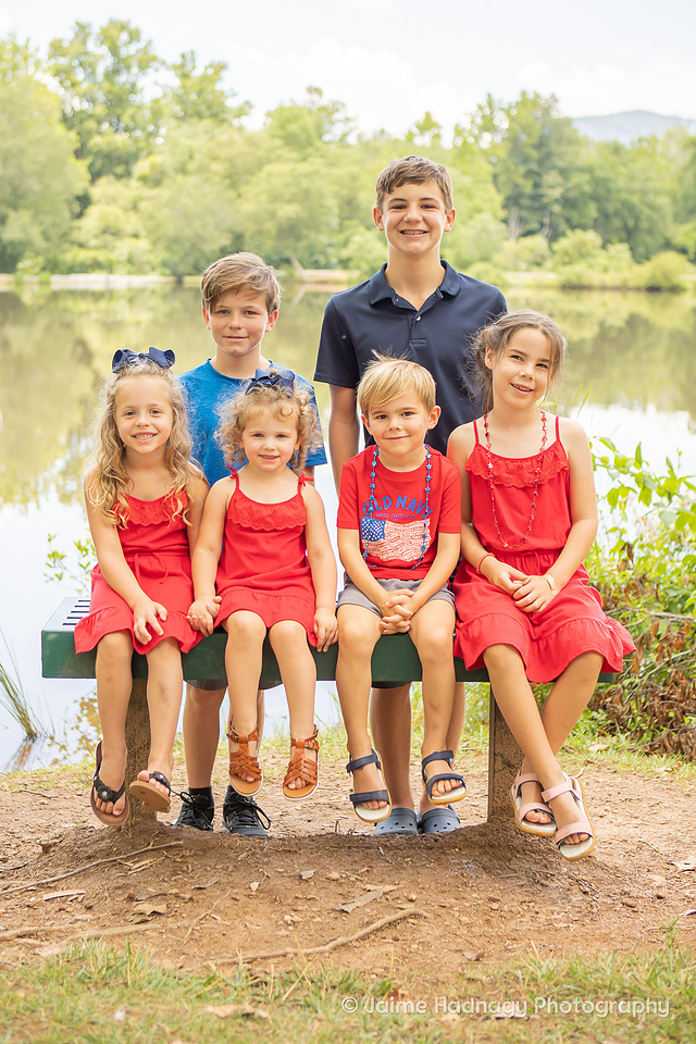 Family Reunion at the park | Asheville Family Photographer 
