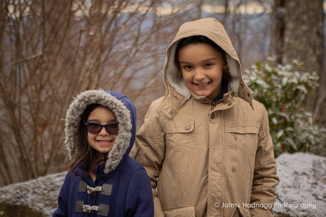 Winter Family Reunion Photoshoot in the mountains of Western North Carolina | Asheville Family Photographer