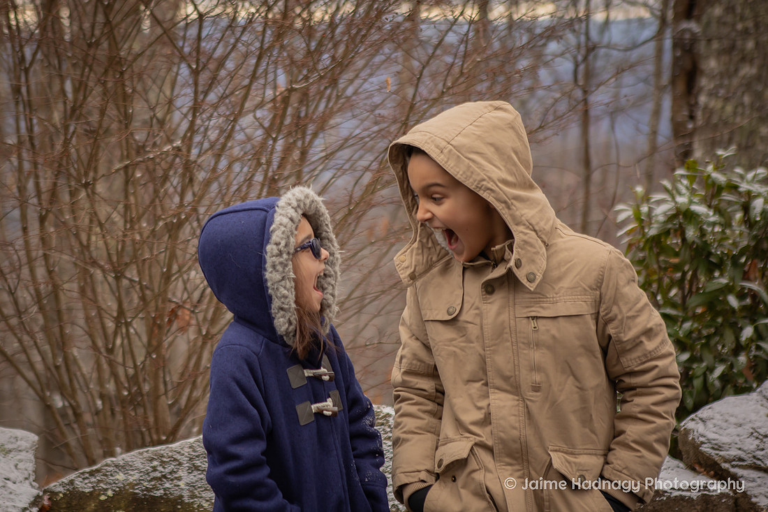 Winter Family Reunion Photoshoot in the mountains of Western North Carolina | Asheville Family Photographer