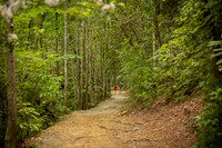 Bobby & Kincy: Waterfall Hike Proposal at Rainbow Falls in Gorges State Park