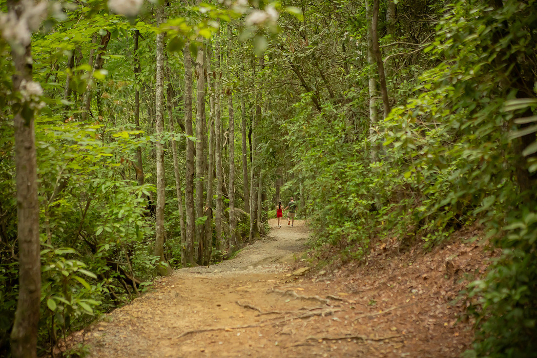 Couple HIking in Gorges State Park