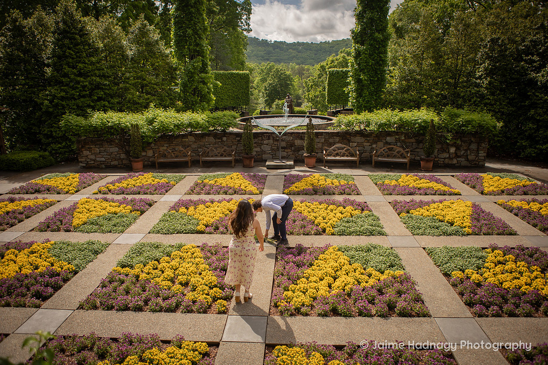 Romantic Surprise Proposal at the NC Arboretum | Asheville Engagement Photographer