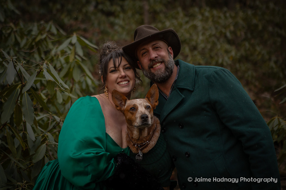 Moody Pet Photography Asheville
