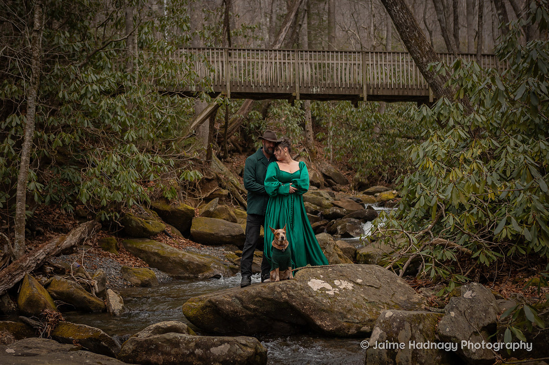 Moody Pet Photography Asheville