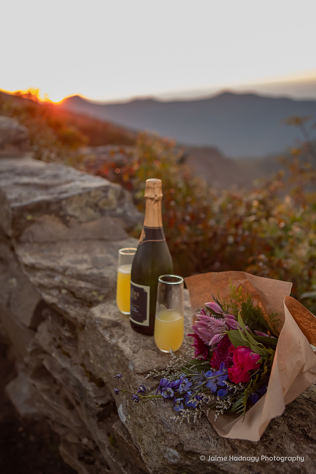 Sunrise Surprise Proposal in the mountains | Asheville Photographer