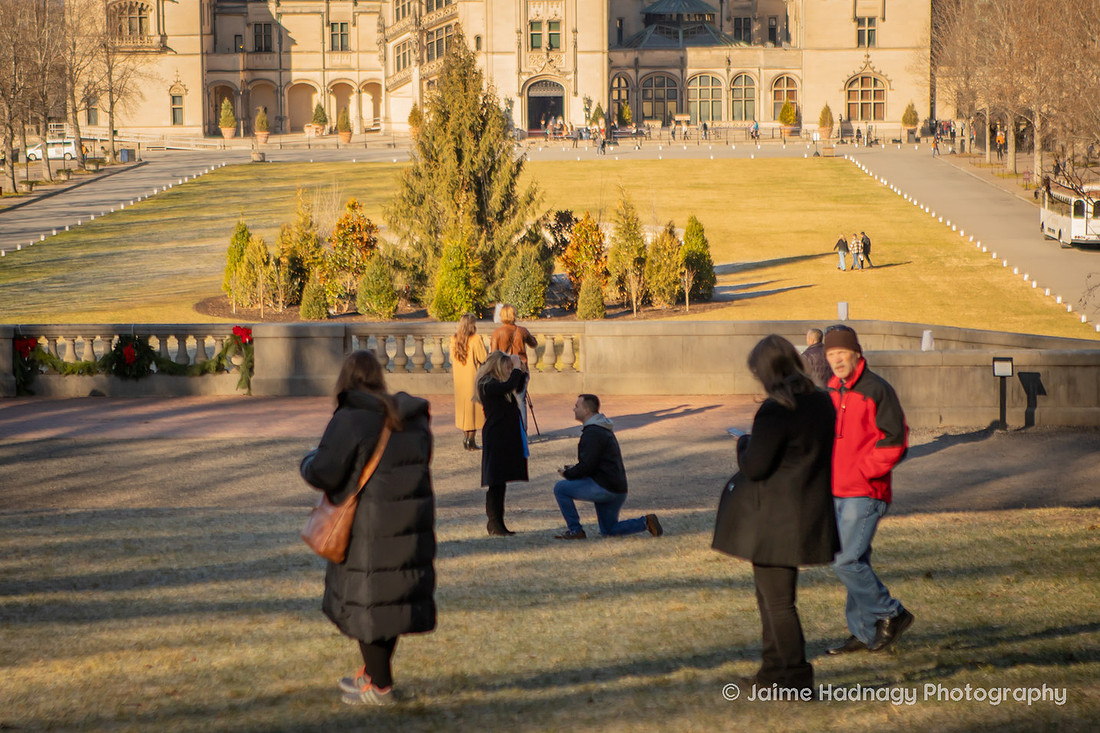 Proposal in the crowd at the Biltmore Estate