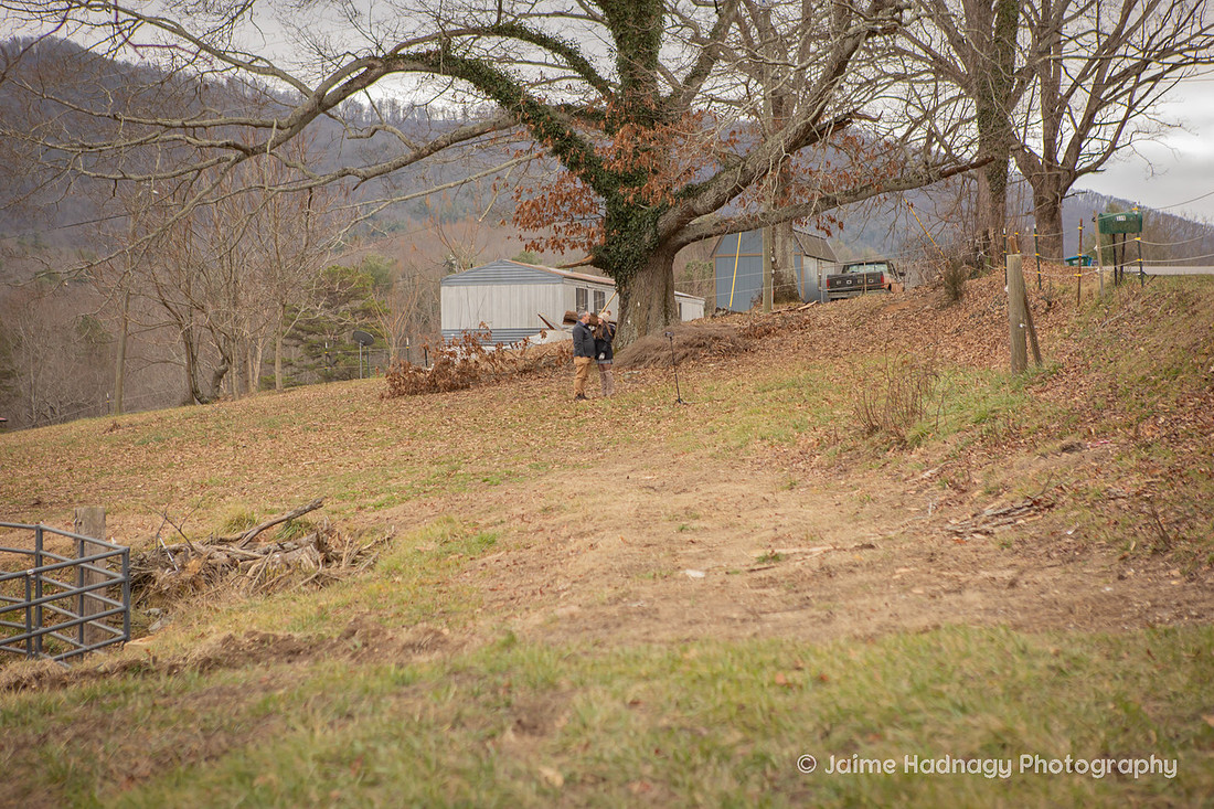 Horse Farm Proposal Photography | Asheville Pet Photographer