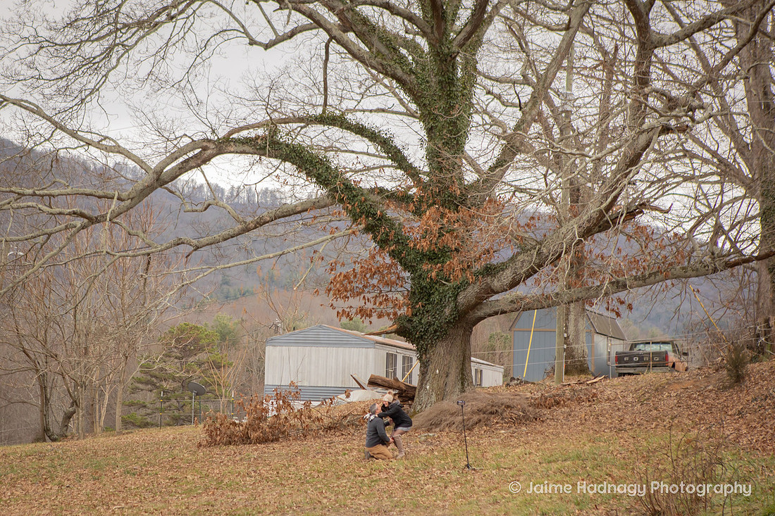 Horse Farm Proposal Photography | Asheville Pet Photographer