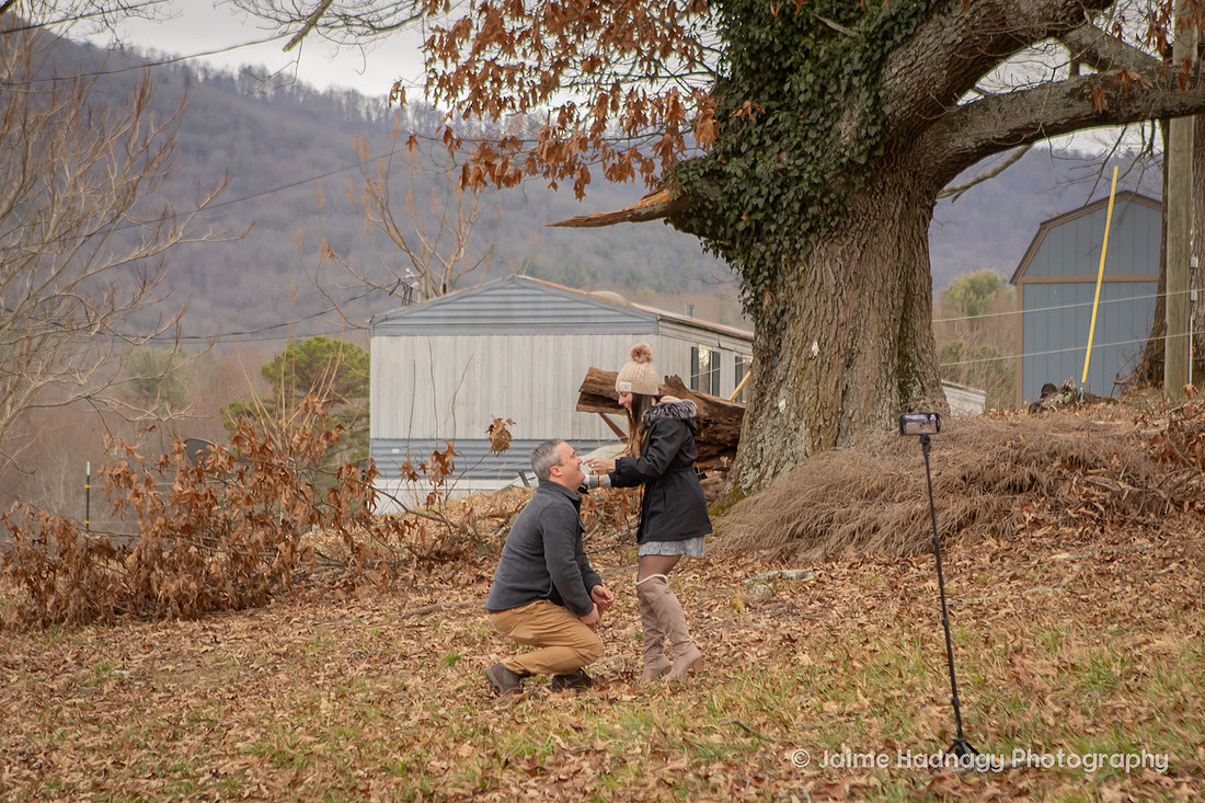 Horse Farm Proposal Photography | Asheville Pet Photographer