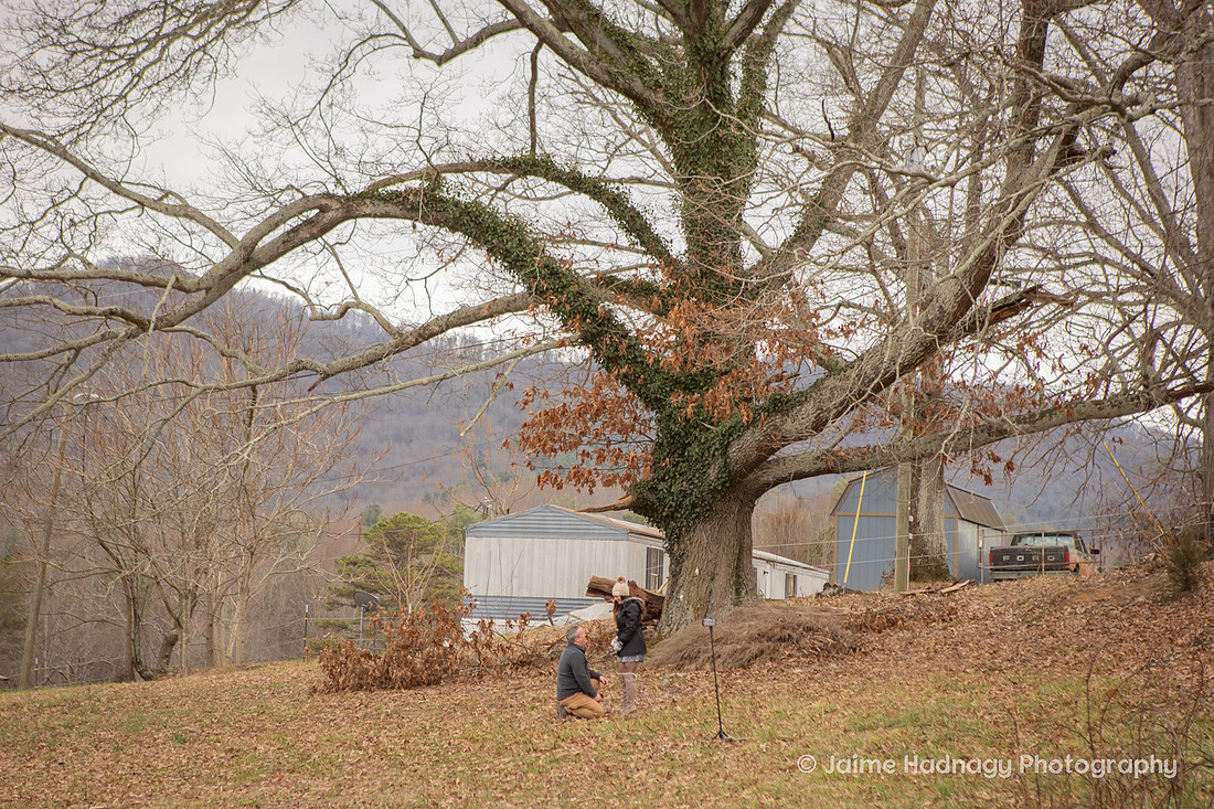 Horse Farm Proposal Photography | Asheville Pet Photographer