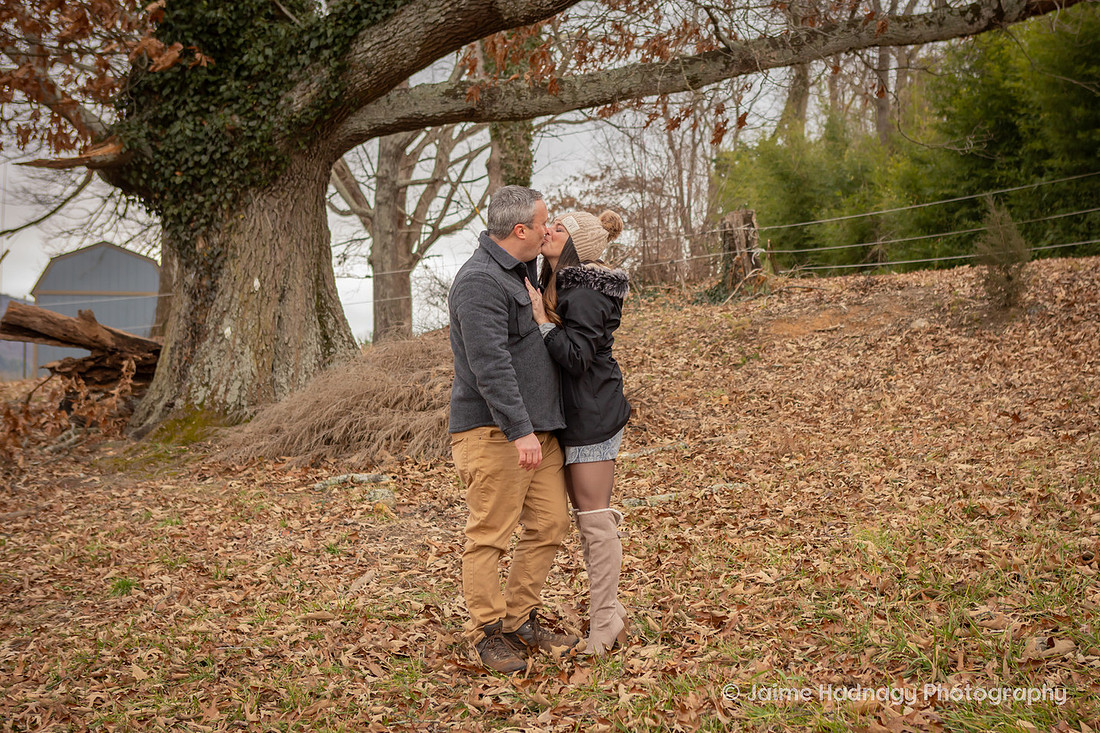 Horse Farm Proposal Photography | Asheville Pet Photographer