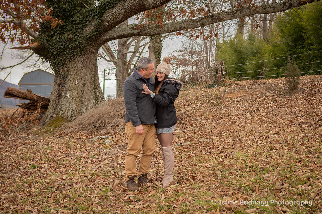 Horse Farm Proposal Photography | Asheville Pet Photographer
