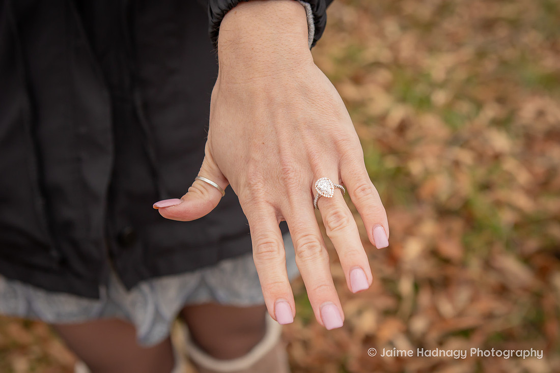 Engagement Session with Dogs and Horse Pony | Asheville Animal Proposal Photographer 