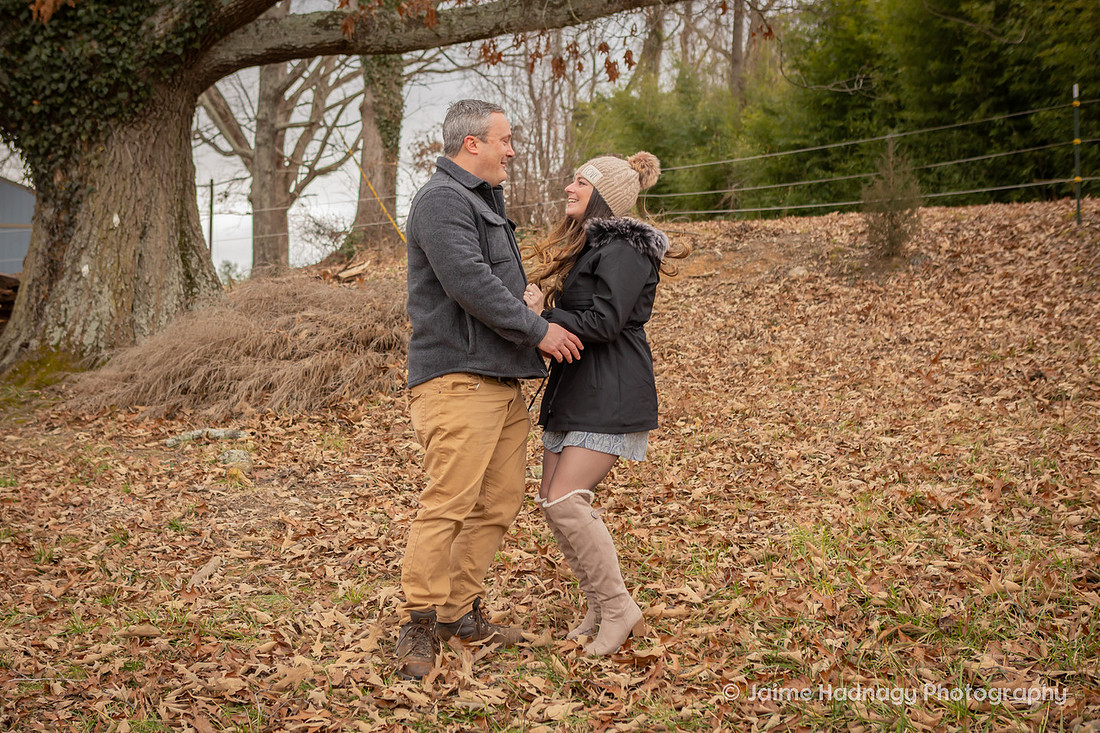 Horse Farm Proposal Photography | Asheville Pet Photographer