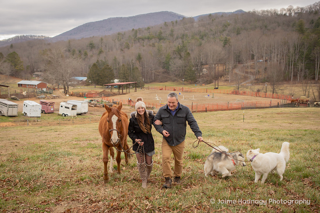 Engagement Session with Dogs and Horse Pony | Asheville Animal Proposal Photographer 