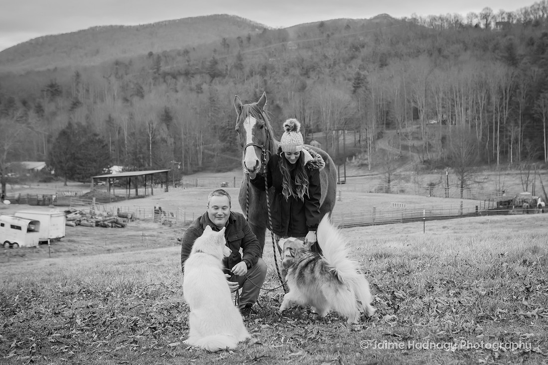 Engagement Session on Horse Farm | Asheville Proposal Photographer