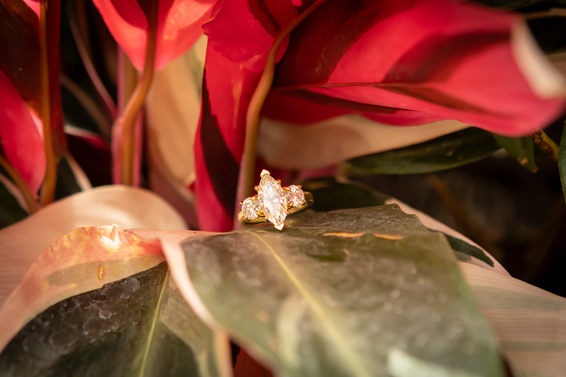 Engagement Photos at Biltmore Gardens